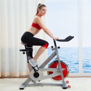 Sunny-Health-Fitness-Pro-Indoor-Cycling-Bike-0-0